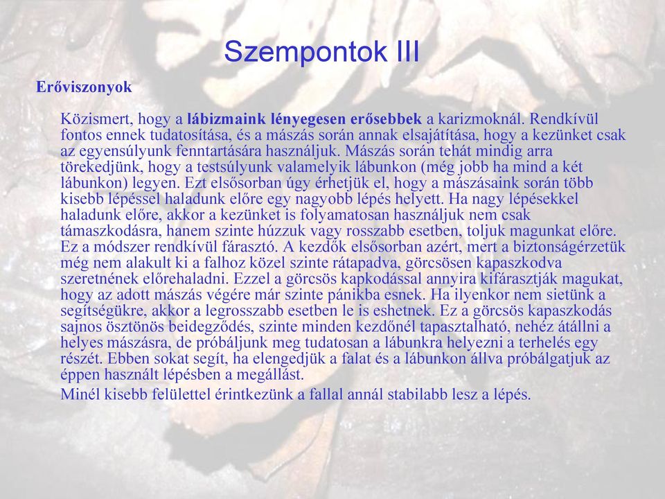 Mászás során tehát mindig arra törekedjünk, hogy a testsúlyunk valamelyik lábunkon (még jobb ha mind a két lábunkon) legyen.