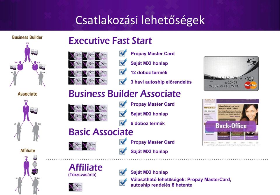 honlap 6 doboz termék Basic Associate Propay Master Card Saját MXI honlap Affiliate