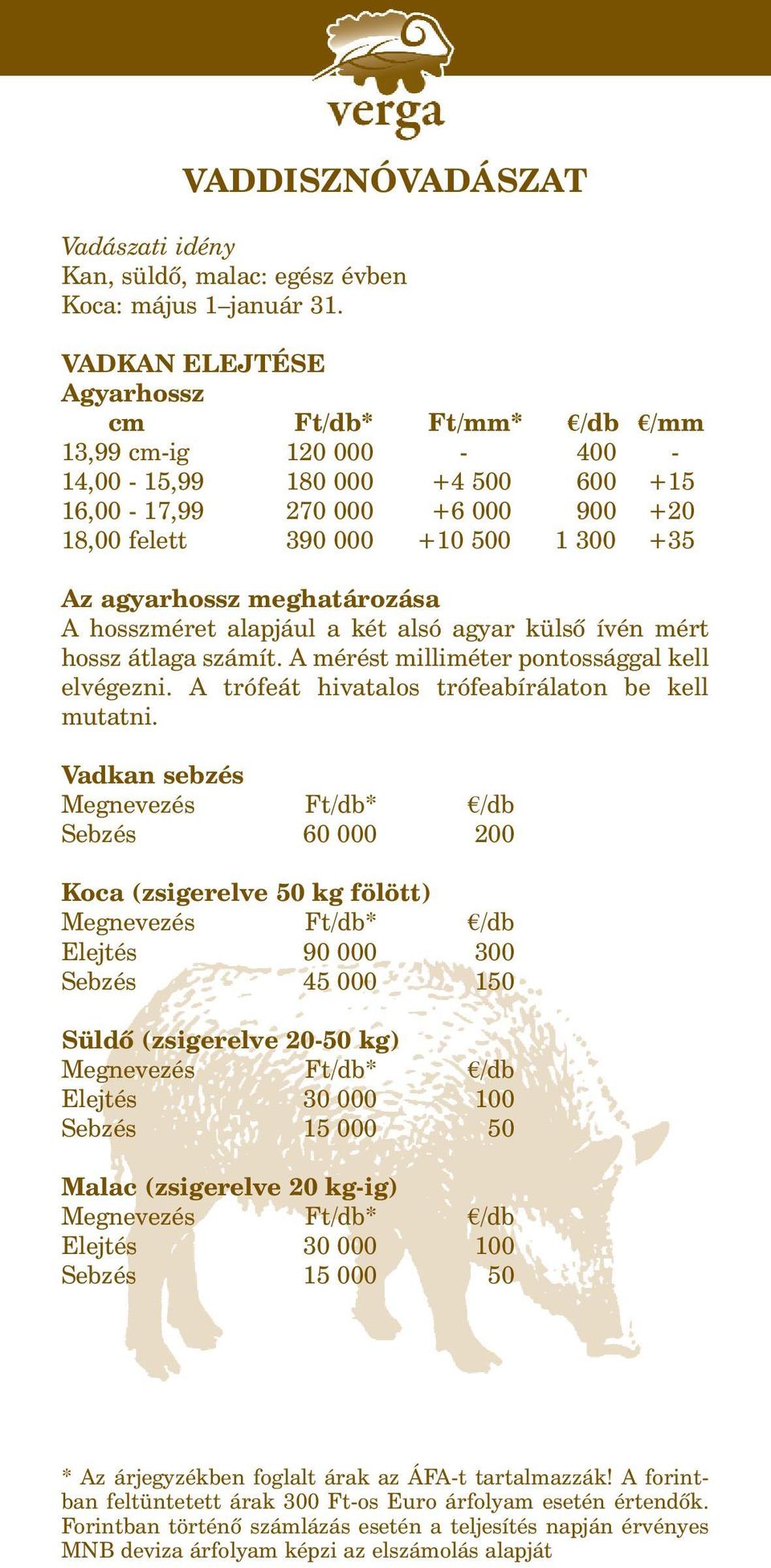 1 300 +35 Az agyarhossz meghatározása A hosszméret alapjául a két alsó agyar külsõ ívén mért hossz átlaga számít. A mérést milliméter pontossággal kell elvégezni.