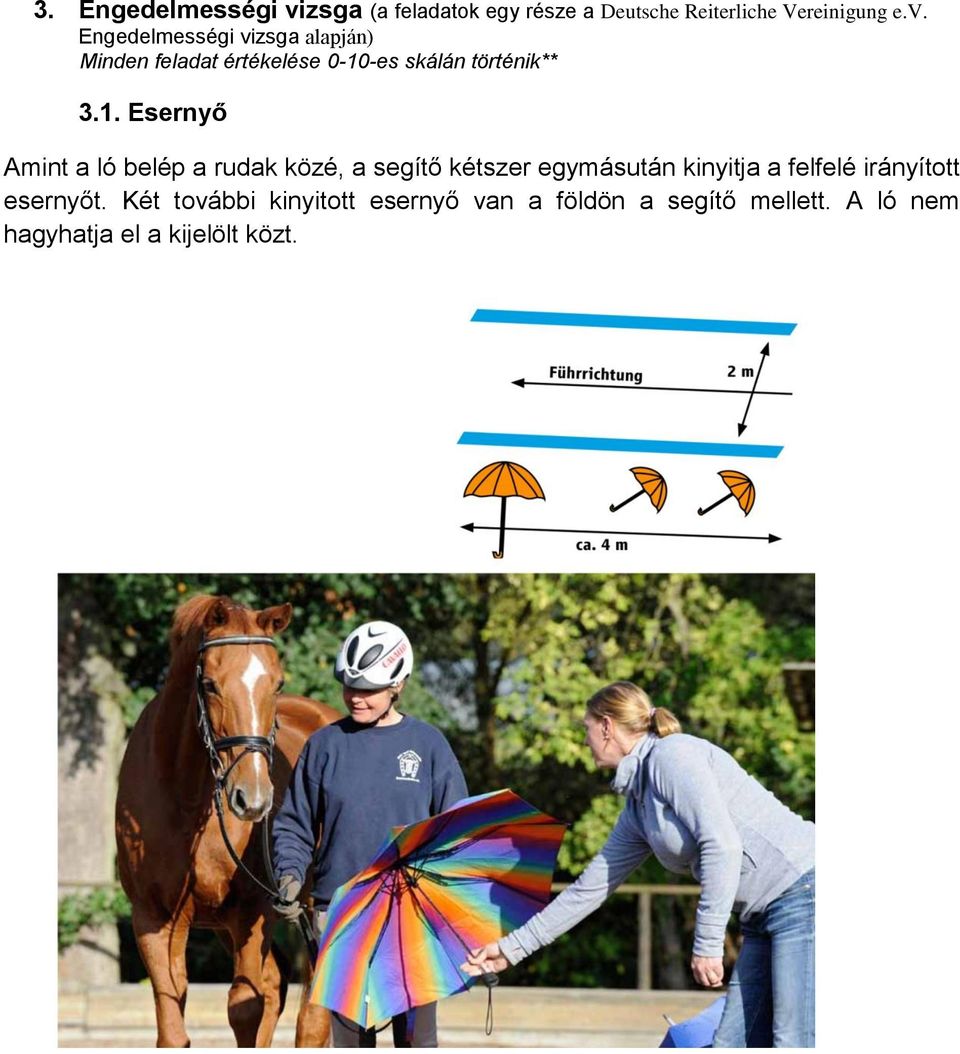 Engedelmességi vizsga alapján) Minden feladat értékelése 0-10