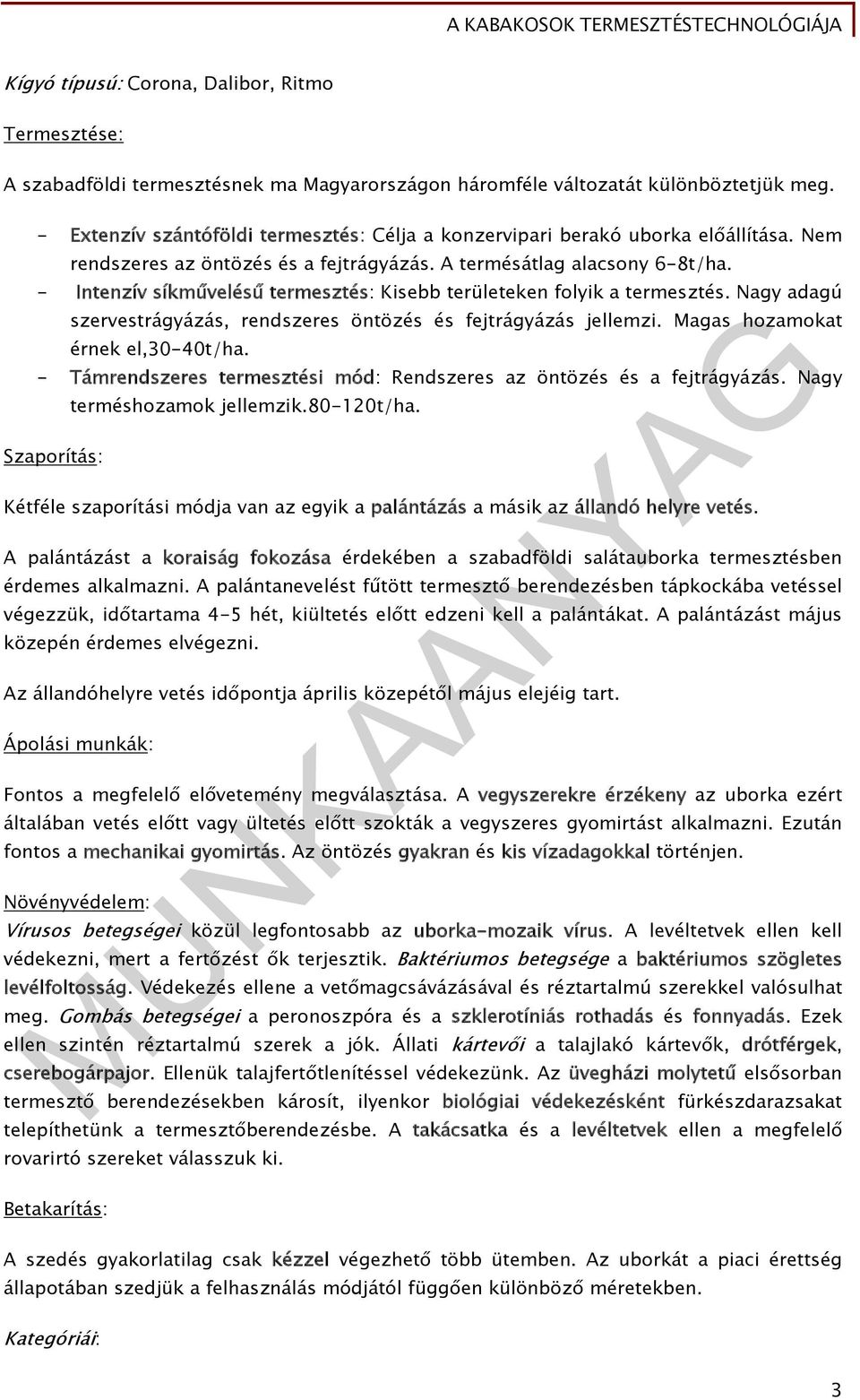 - Intenzív síkművelésű termesztés: Kisebb területeken folyik a termesztés. Nagy adagú szervestrágyázás, rendszeres öntözés és fejtrágyázás jellemzi. Magas hozamokat érnek el,30-40t/ha.