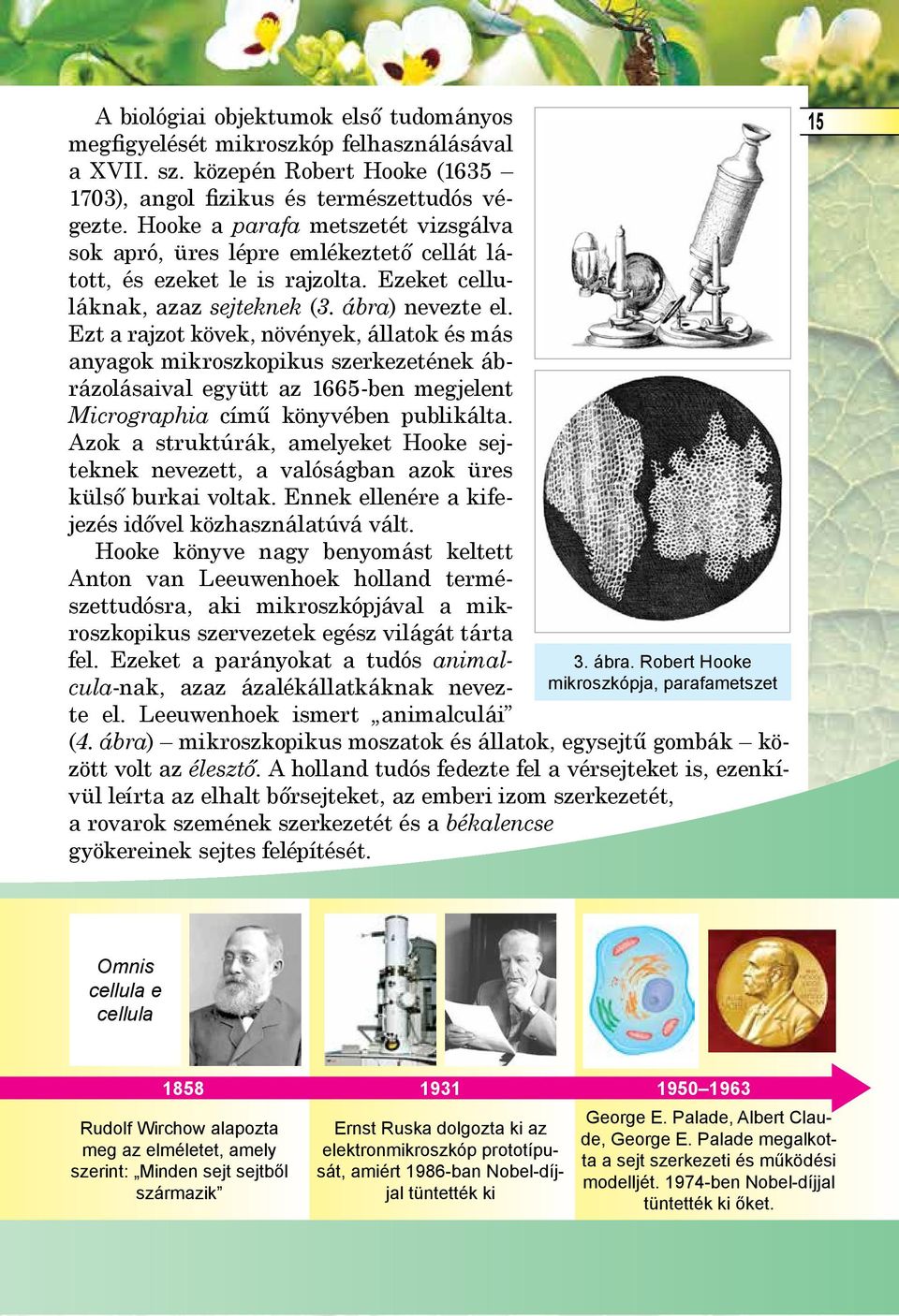 Ezt a rajzot kövek, növények, állatok és más anyagok mikroszkopikus szerkezetének ábrázolásaival együtt az 1665-ben megjelent Micrographia című könyvében publikálta.