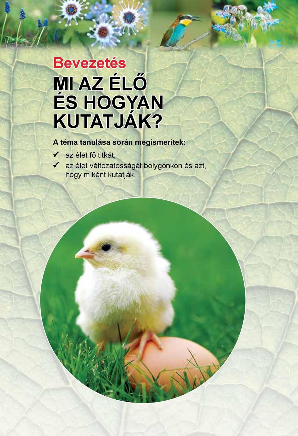 élet fő titkát; az élet változatosságát