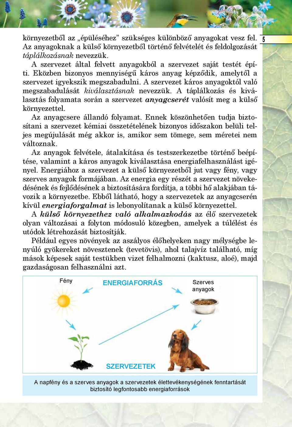 A szervezet káros anyagoktól való megszabadulását kiválasztásnak nevezzük. A táplálkozás és kiválasztás folyamata során a szervezet anyagcserét valósít meg a külső környezettel.