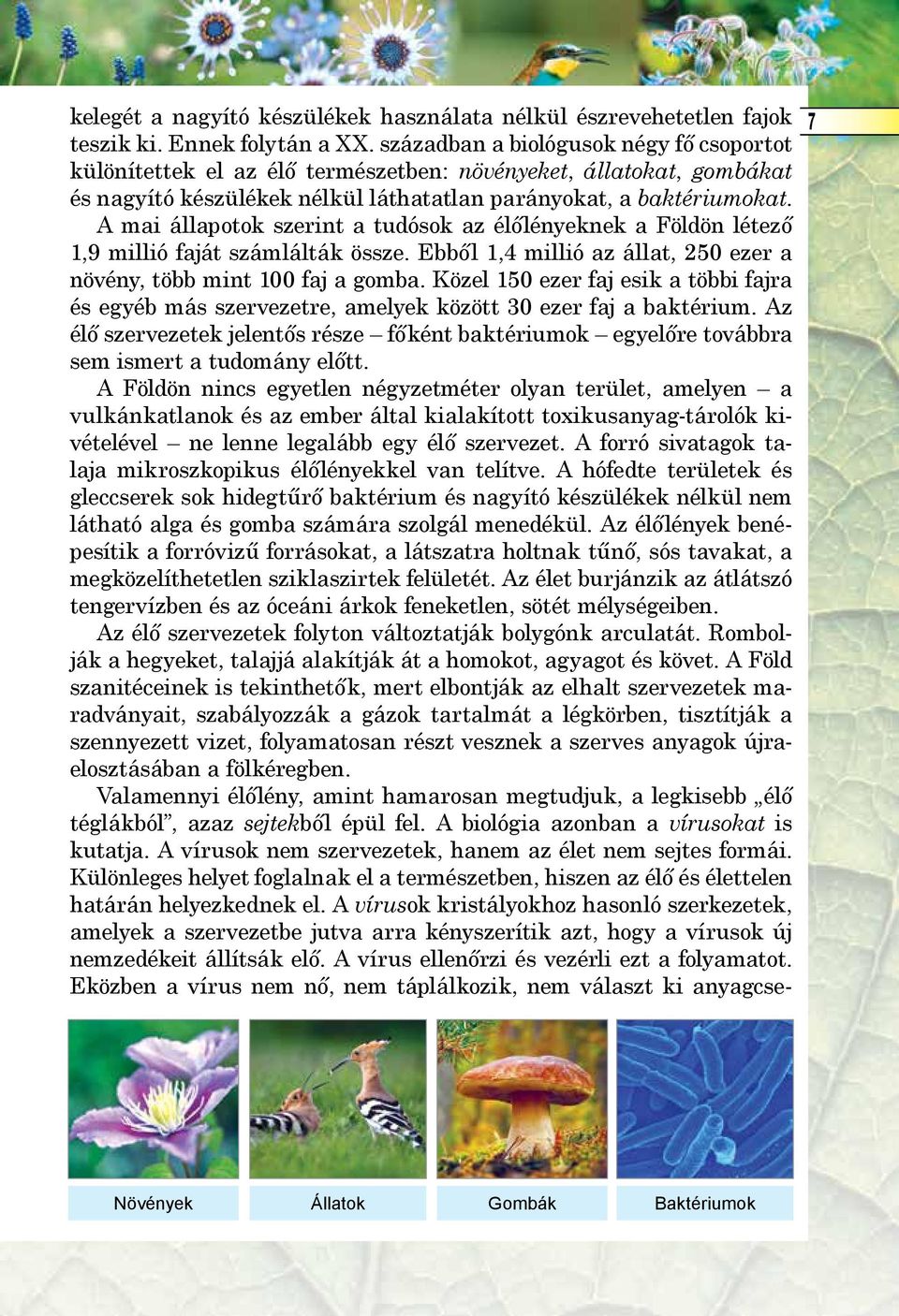 A mai állapotok szerint a tudósok az élőlényeknek a Földön létező 1,9 millió faját számlálták össze. Ebből 1,4 millió az állat, 250 ezer a növény, több mint 100 faj a gomba.