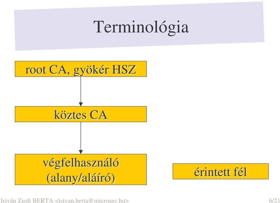 (alany/aláíró) érintett fél