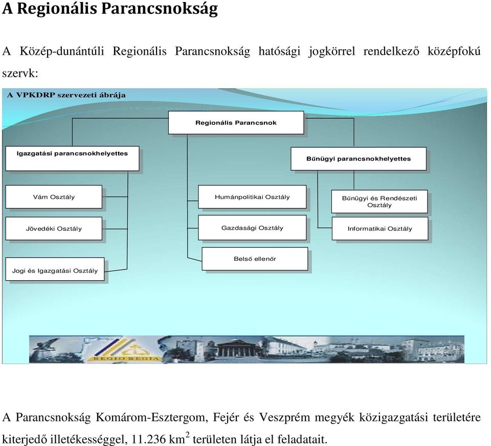 és Rendészeti Bűnügyi és Rendészeti Osztály Osztály Jövedéki Osztály Jövedéki Osztály Gazdasági Osztály Gazdasági Osztály Informatikai Osztály Informatikai Osztály Jogi és Igazgatási Osztály Jogi