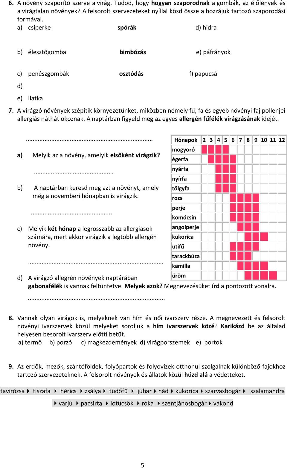 a) csiperke spórák d) hidra b) élesztőgomba bimbózás e) páfrányok c) penészgombák osztódás f) papucsá d) e) llatka 7.