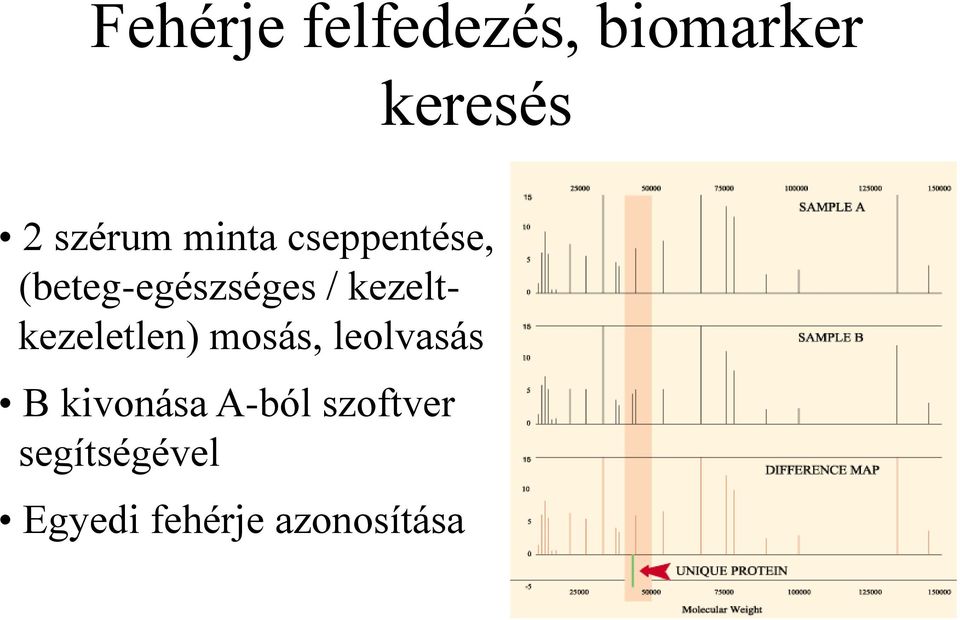 kezeltkezeletlen) mosás, leolvasás B kivonása