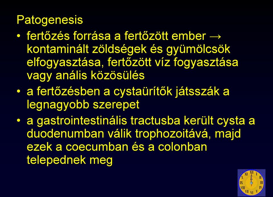 cystaürítők játsszák a legnagyobb szerepet a gastrointestinális tractusba került