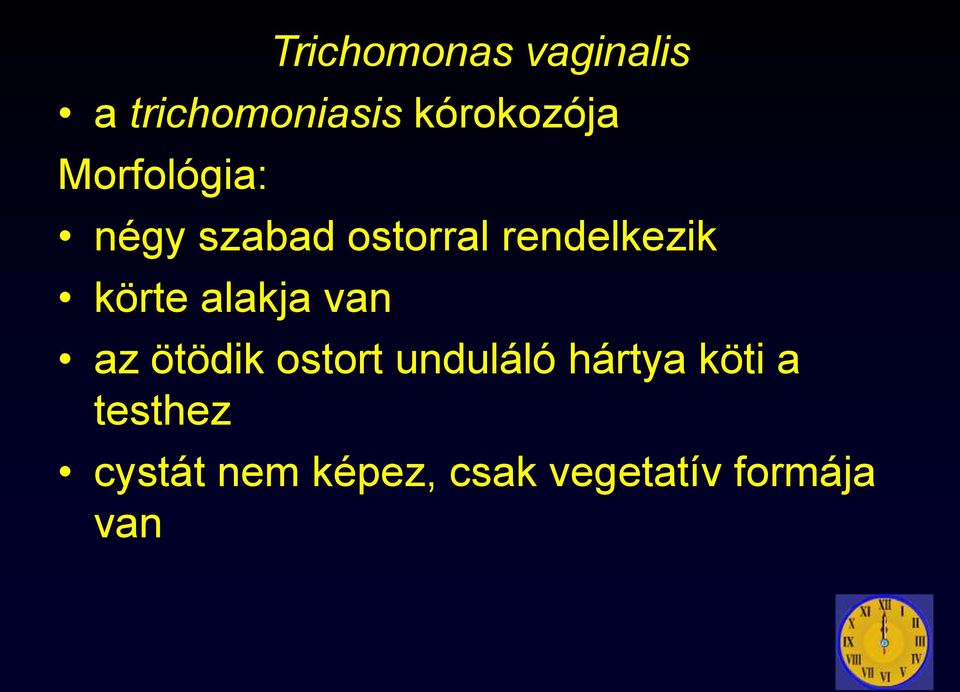 alakja van az ötödik ostort unduláló hártya köti a