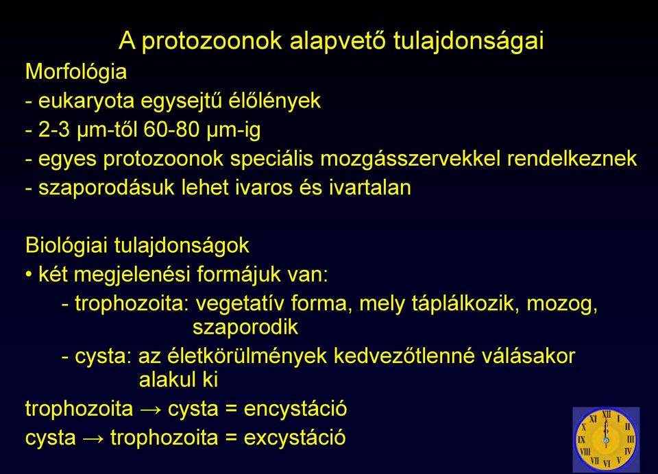 tulajdonságok két megjelenési formájuk van: - trophozoita: vegetatív forma, mely táplálkozik, mozog, szaporodik