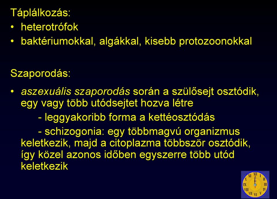 leggyakoribb forma a kettéosztódás - schizogonia: egy többmagvú organizmus keletkezik,