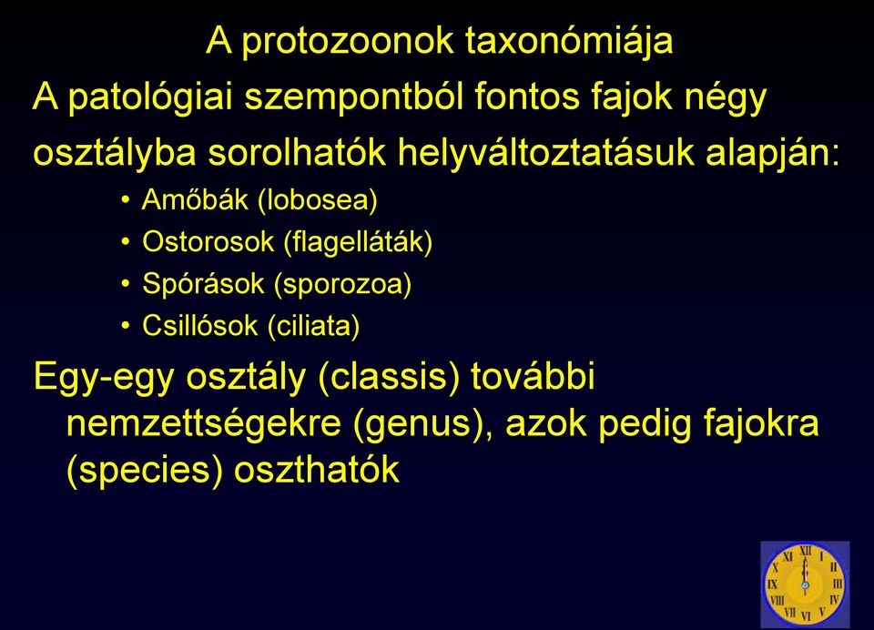 Ostorosok (flagelláták) Spórások (sporozoa) Csillósok (ciliata) Egy-egy