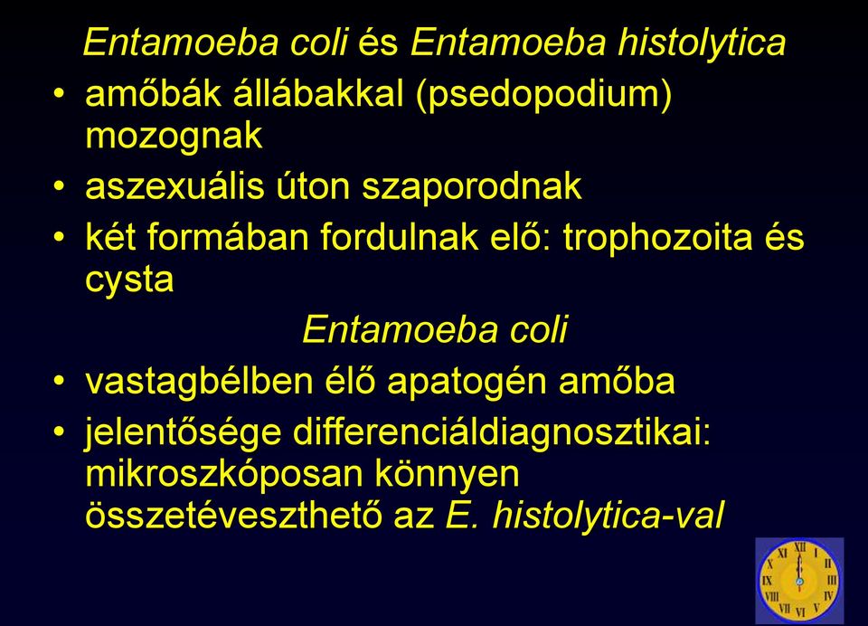 és cysta Entamoeba coli vastagbélben élő apatogén amőba jelentősége