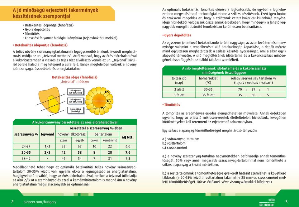 Arról van szó, hogy az érés előrehaladtával a kukoricaszemben a viaszos és tejes rész elválasztó vonala az un. tejvonal kívülről befelé halad a mag tetejéről a csíra felé.