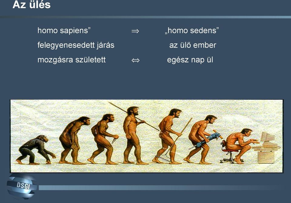 mozgásra született homo