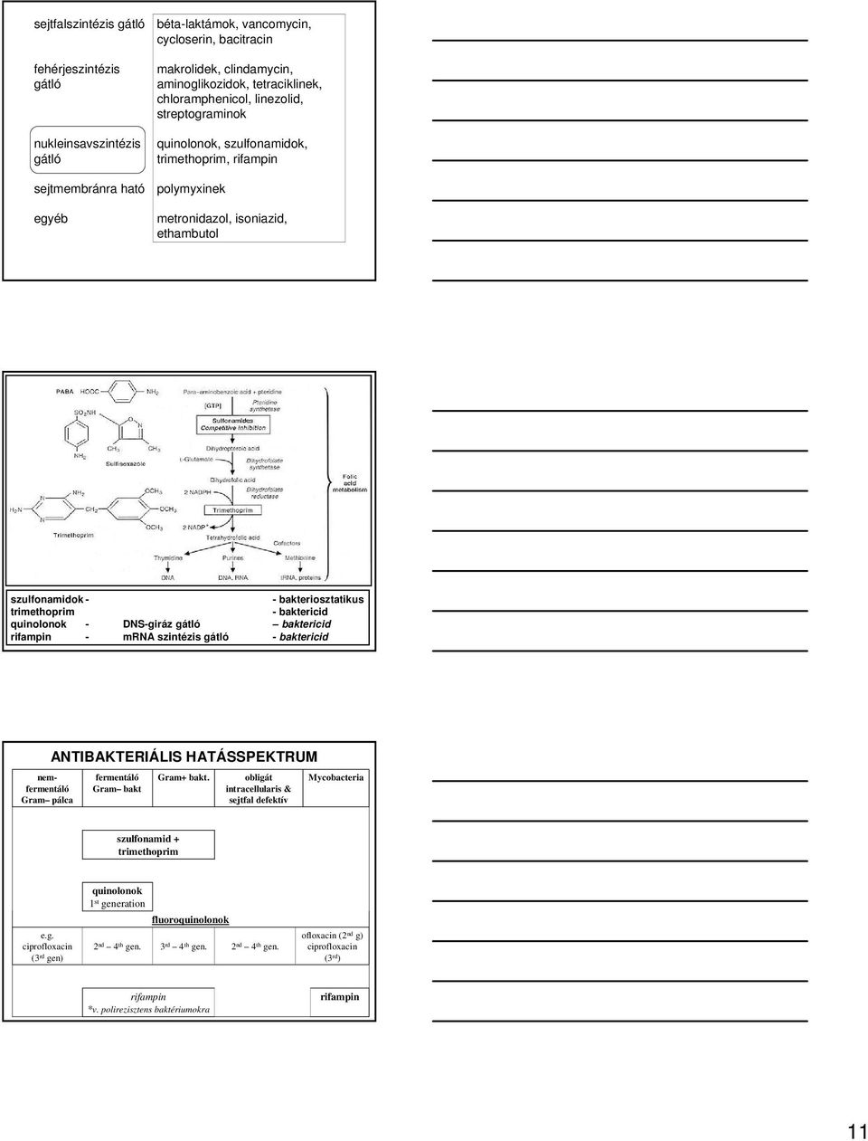 trimethoprim - baktericid quinolonok - DNS-giráz gátló baktericid rifampin - mrna szintézis gátló - baktericid ANTIBAKTERIÁLIS HATÁSSPEKTRUM nemfermentáló Gram pálca fermentáló Gram bakt Gram+ bakt.