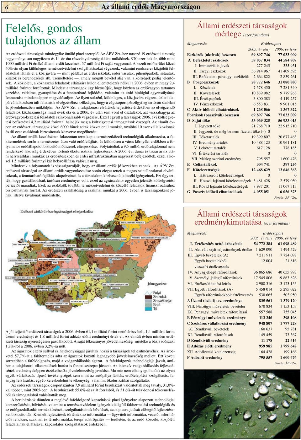 970 ezer hektár, több mint 1000 milliárd Ft értékû állami erdôt kezelnek, 57 milliárd Ft saját vagyonnal.