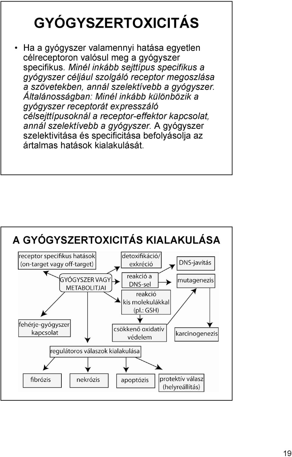 Általánosságban: Minél inkább különbözik a gyógyszer receptorát expresszáló célsejttípusoknál a receptor-effektor kapcsolat, annál