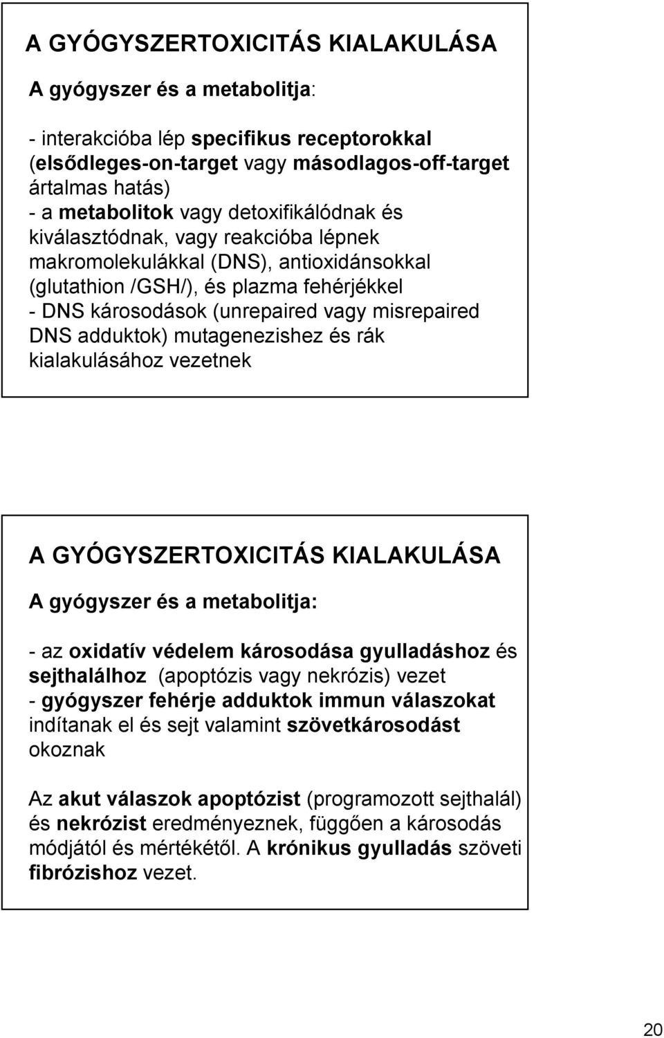 adduktok) mutagenezishez és rák kialakulásához vezetnek A GYÓGYSZERTOXICITÁS KIALAKULÁSA A gyógyszer és a metabolitja: - az oxidatív védelem károsodása gyulladáshoz és sejthalálhoz (apoptózis vagy