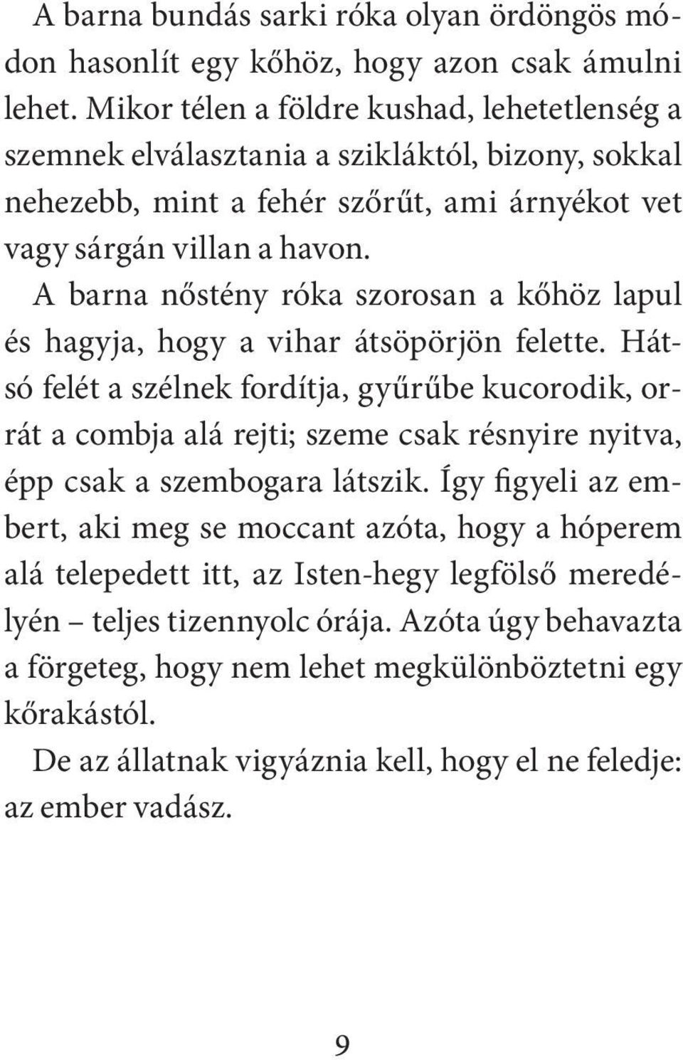 A barna nőstény róka szorosan a kőhöz lapul és hagyja, hogy a vihar átsöpörjön felette.