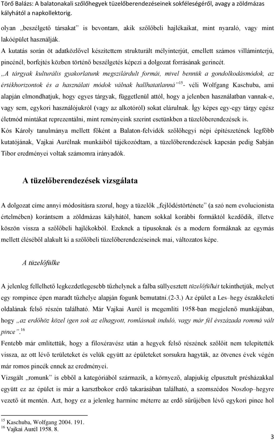 A tárgyak kulturális gyakorlatunk megszilárdult formái, mivel bennük a gondolkodásmódok, az értékhorizontok és a használati módok válnak hallhatatlanná 15 - véli Wolfgang Kaschuba, ami alapján