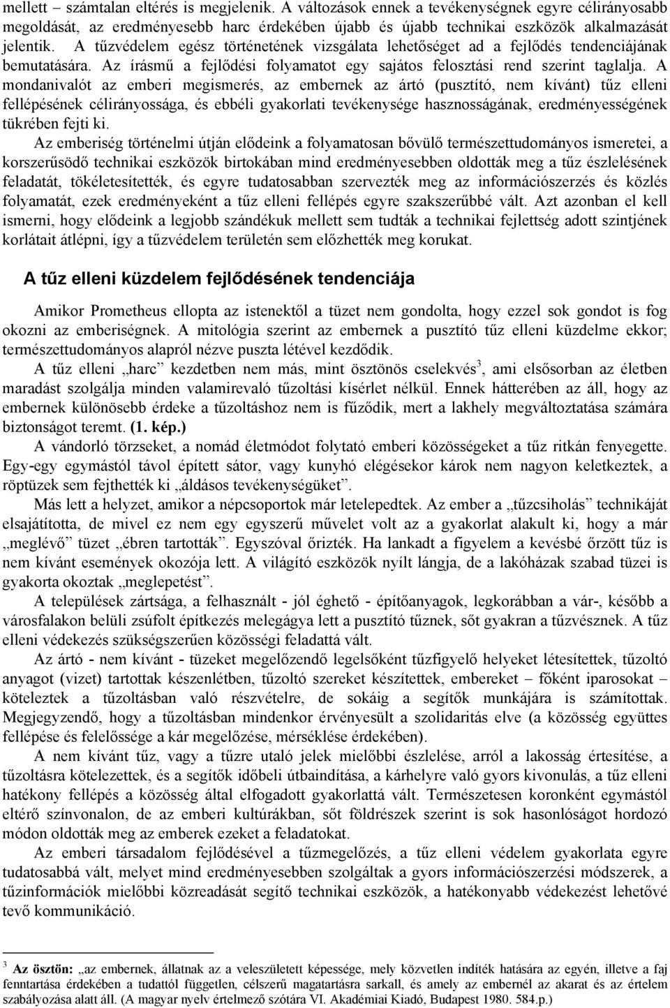 A mondanivalót az emberi megismerés, az embernek az ártó (pusztító, nem kívánt) tűz elleni fellépésének célirányossága, és ebbéli gyakorlati tevékenysége hasznosságának, eredményességének tükrében