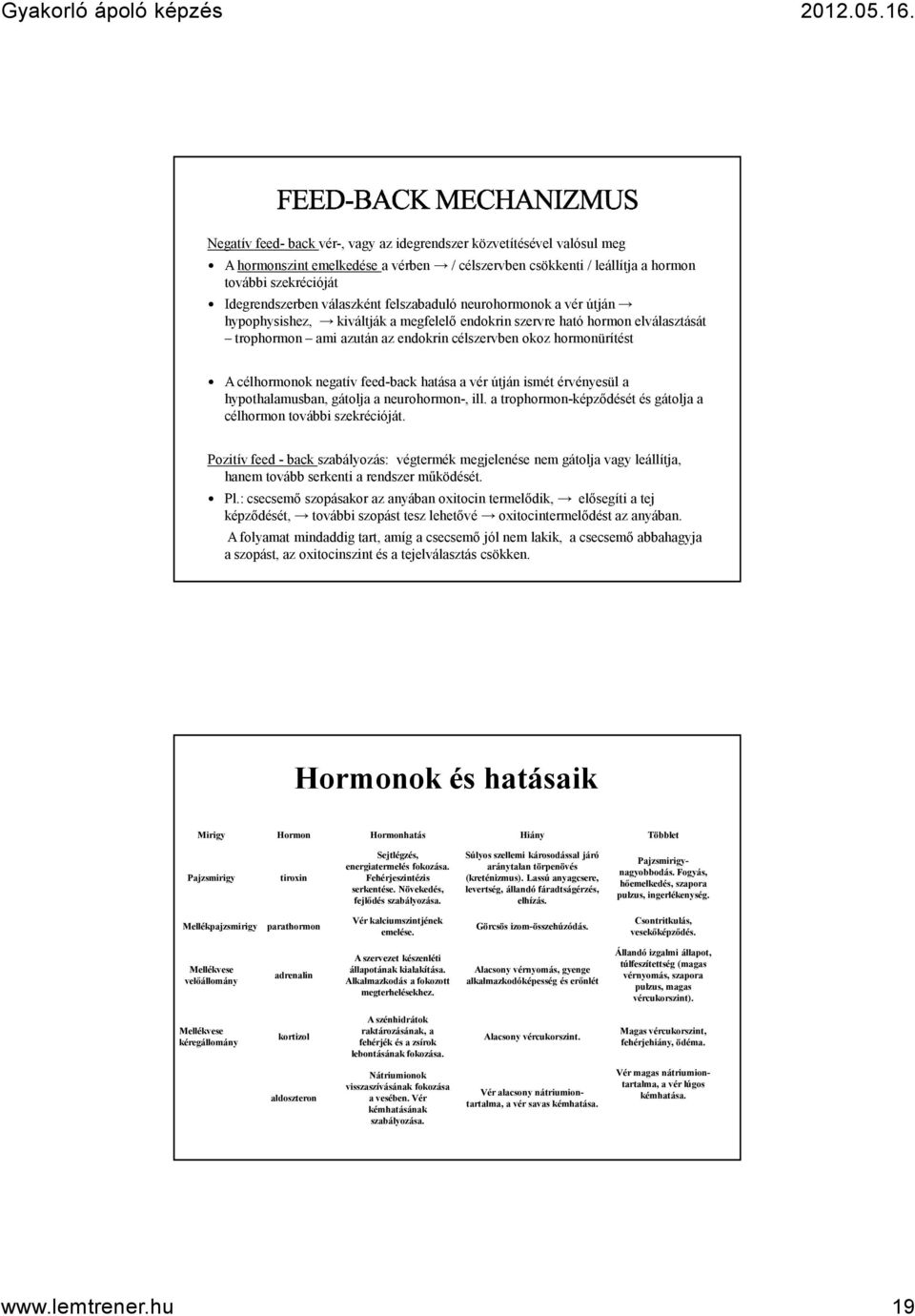 negatív feed-back hatása a vér útján ismét érvényesül a hypothalamusban, gátolja a neurohormon-, ill. a trophormon-képződését és gátolja a célhormon további szekrécióját.