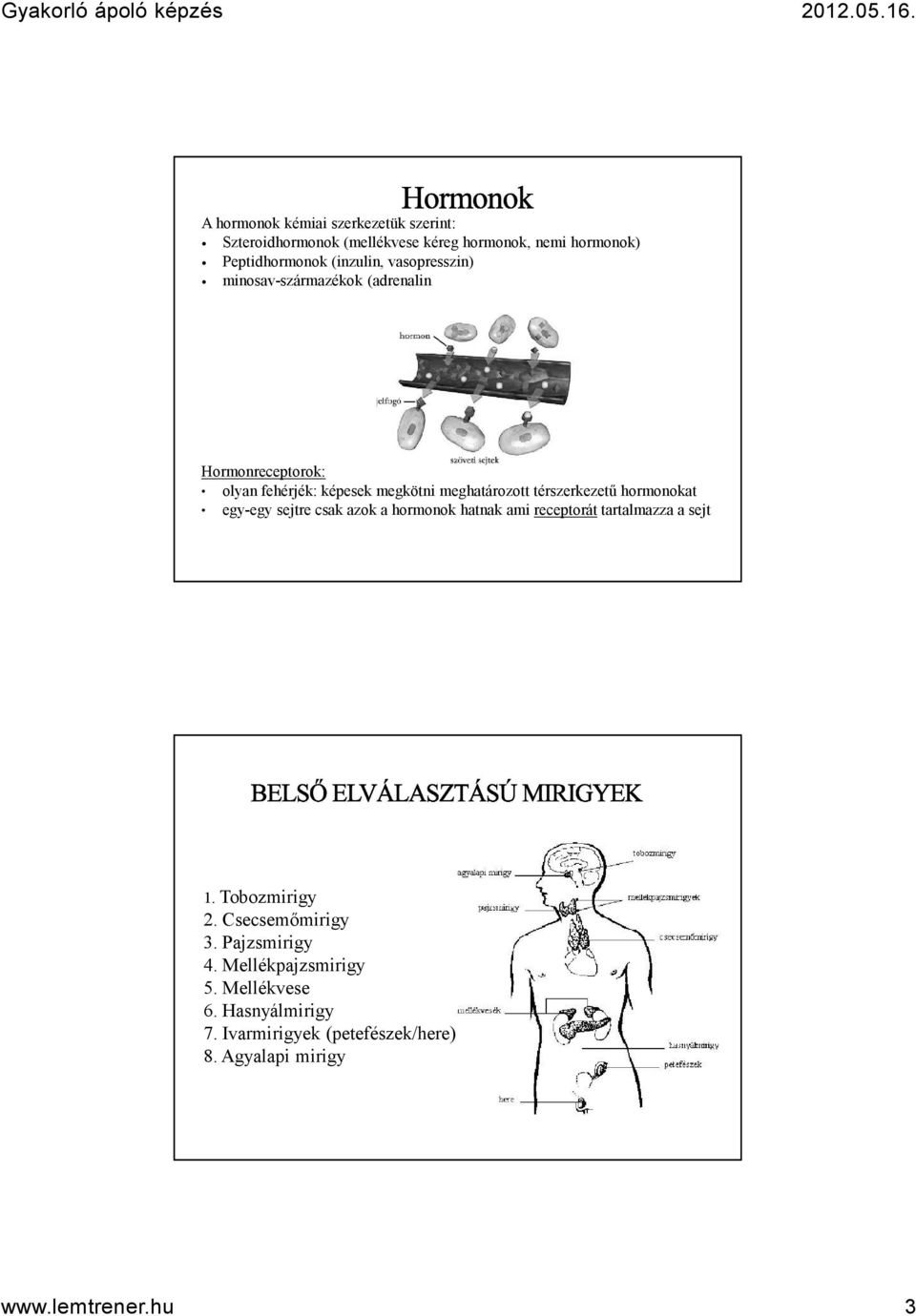 hormonokat egy-egy sejtre csak azoka hormonok hatnak ami receptoráttartalmazza a sejt 1. Tobozmirigy 2. Csecsemőmirigy 3.