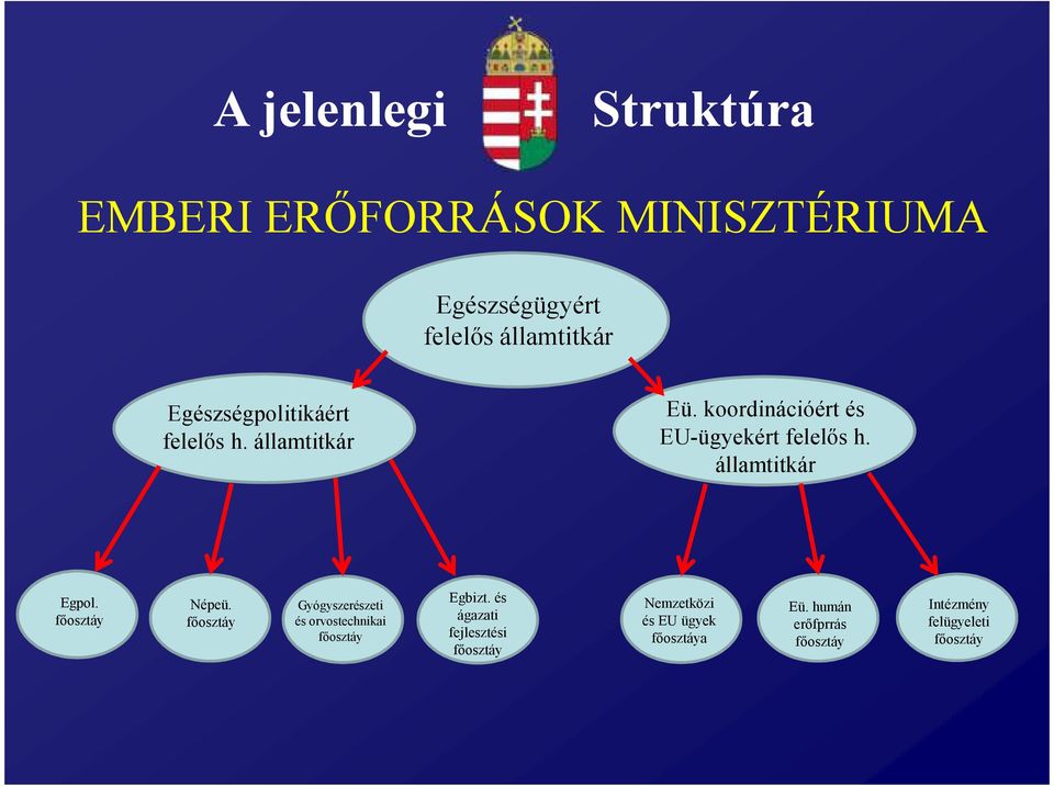 államtitkár Egpol. főosztáy Népeü. főosztáy Gyógyszerészeti és orvostechnikai főosztáy Egbizt.