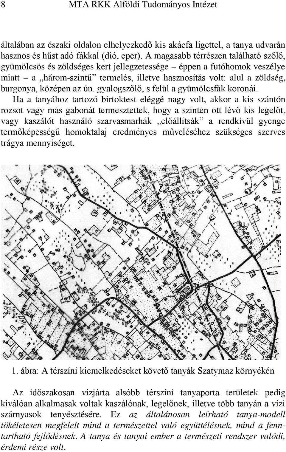 középen az ún. gyalogszőlő, s felül a gyümölcsfák koronái.