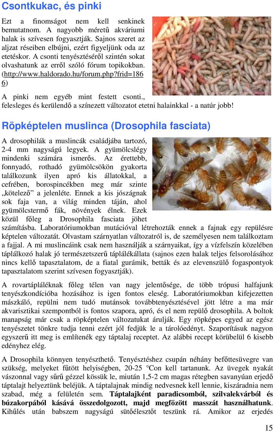 frid=186 6) A pinki nem egyéb mint festett csonti., felesleges és kerülendő a színezett változatot etetni halainkkal - a natúr jobb!