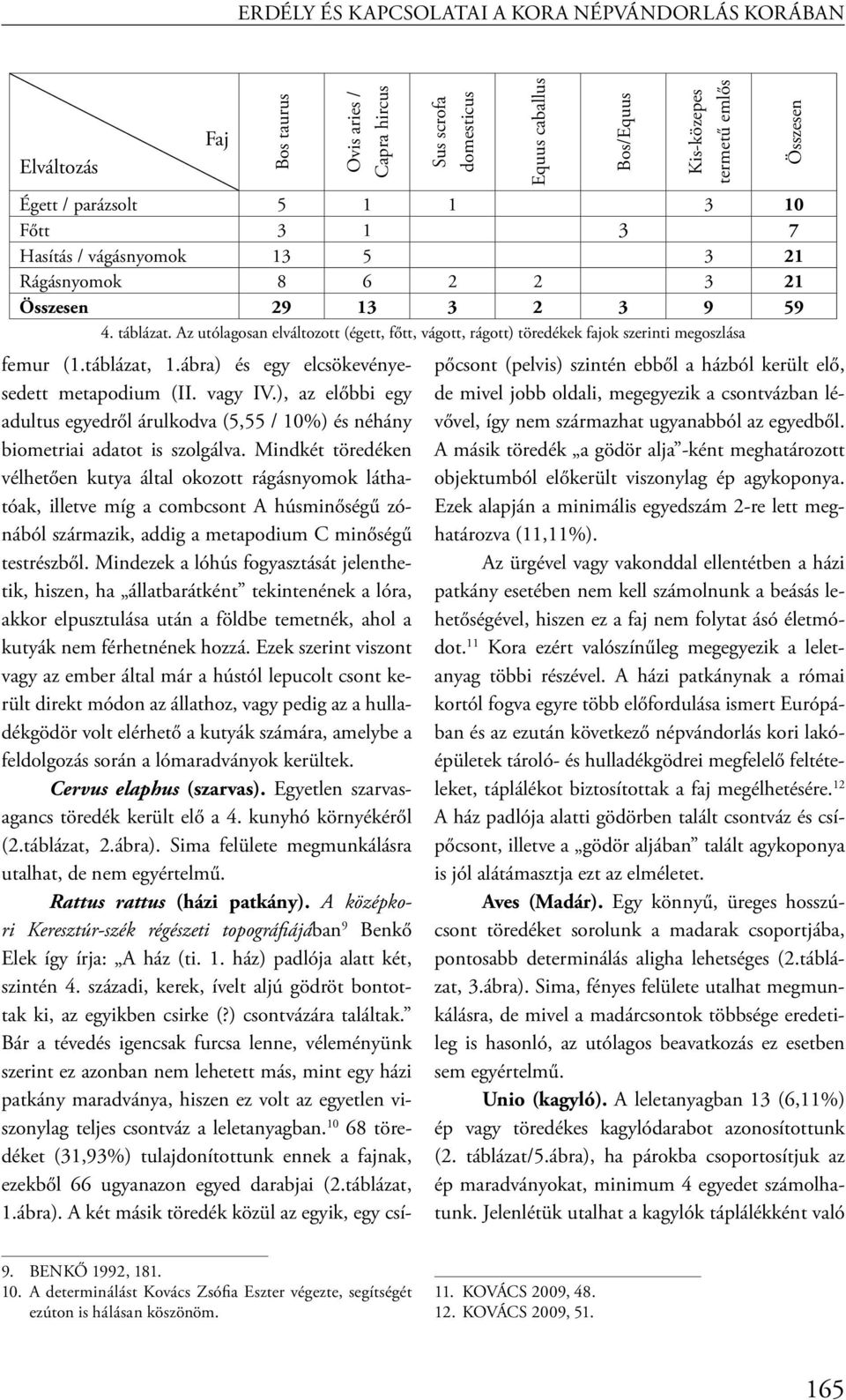 Mindkét töredéken vélhetően kutya által okozott rágásnyomok láthatóak, illetve míg a combcsont A húsminőségű zónából származik, addig a metapodium C minőségű testrészből.