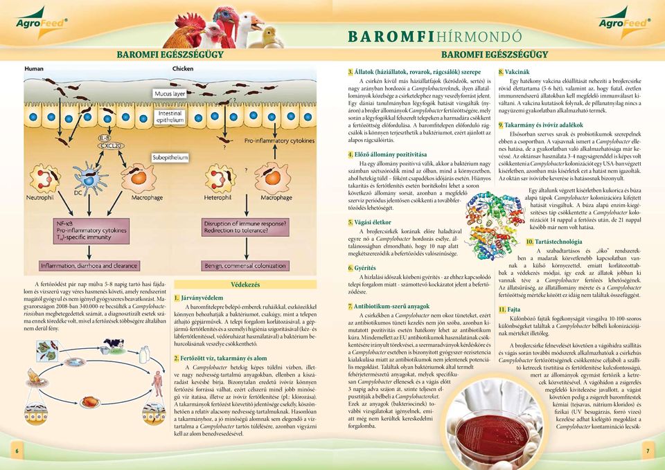 000-re becsülték a Campylobacteriosisban megbetegedettek számát, a diagnosztizált esetek száma ennek töredéke volt, mivel a fertőzések többségére általában nem derül fény. Védekezés 1.