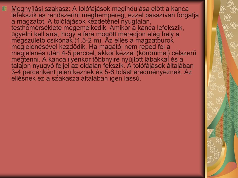 Amikor a kanca lefekszik, ügyelni kell arra, hogy a fara mögött maradjon elég hely a megszülető csikónak (1,5-2 m). Az ellés a magzatburok megjelenésével kezdődik.