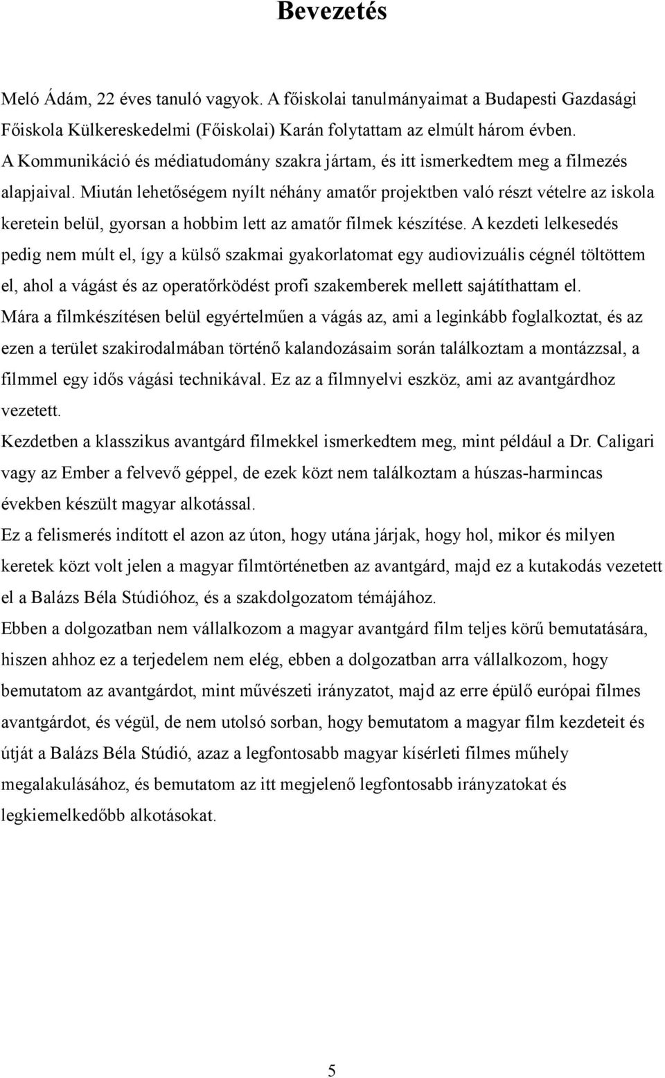 Miután lehetőségem nyílt néhány amatőr projektben való részt vételre az iskola keretein belül, gyorsan a hobbim lett az amatőr filmek készítése.