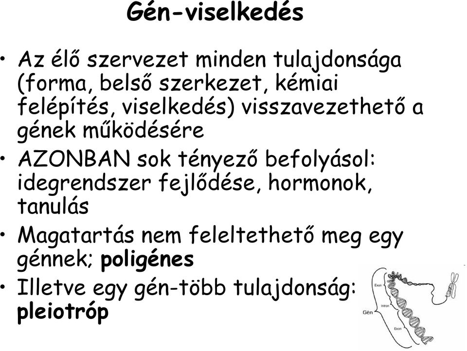 tényező befolyásol: idegrendszer fejlődése, hormonok, tanulás Magatartás nem