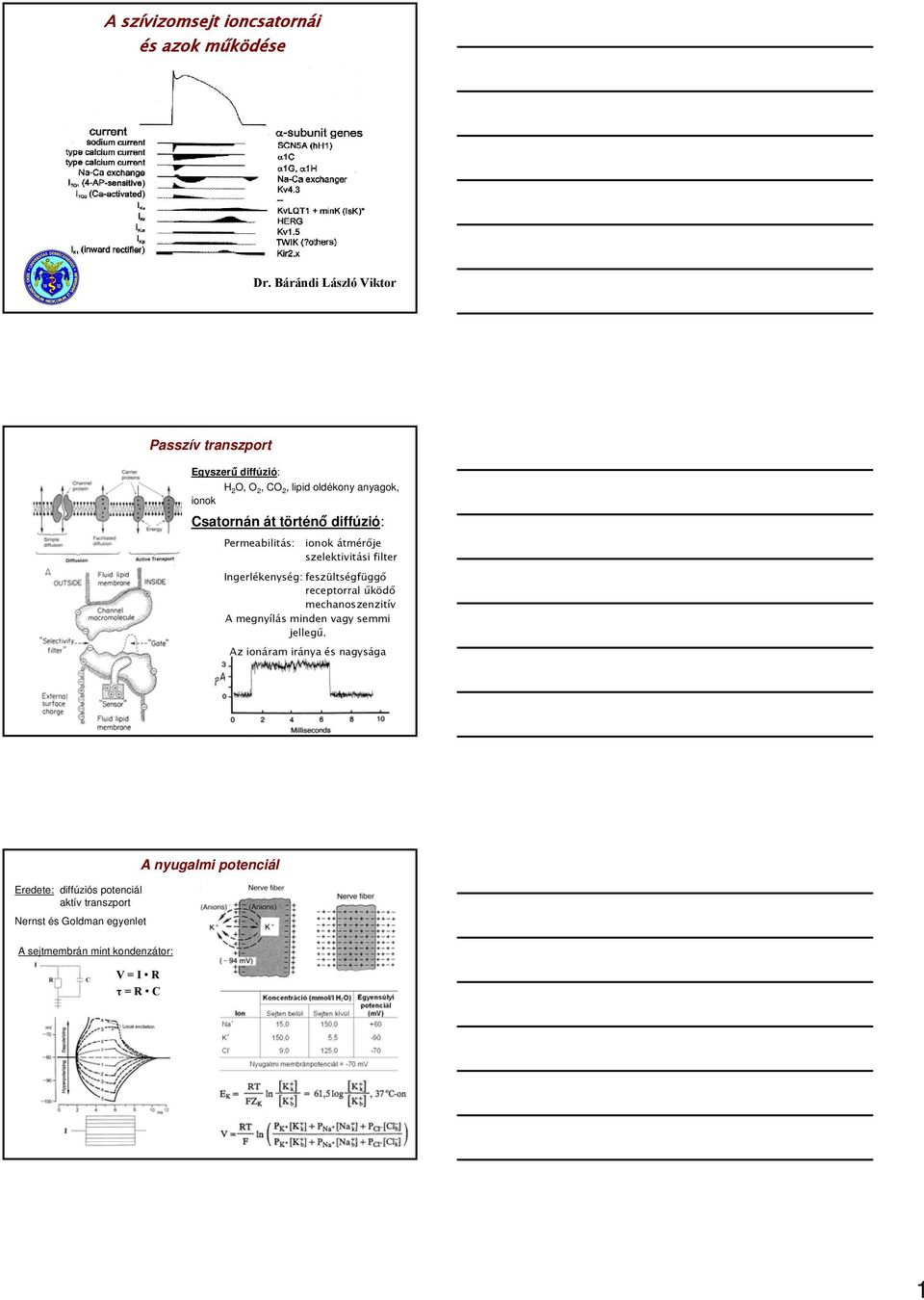 diffúzió: Permeabilitás: ionok átmérője szelektivitási filter Ingerlékenység: feszültségfüggő receptorral űködő mechanoszenzitív