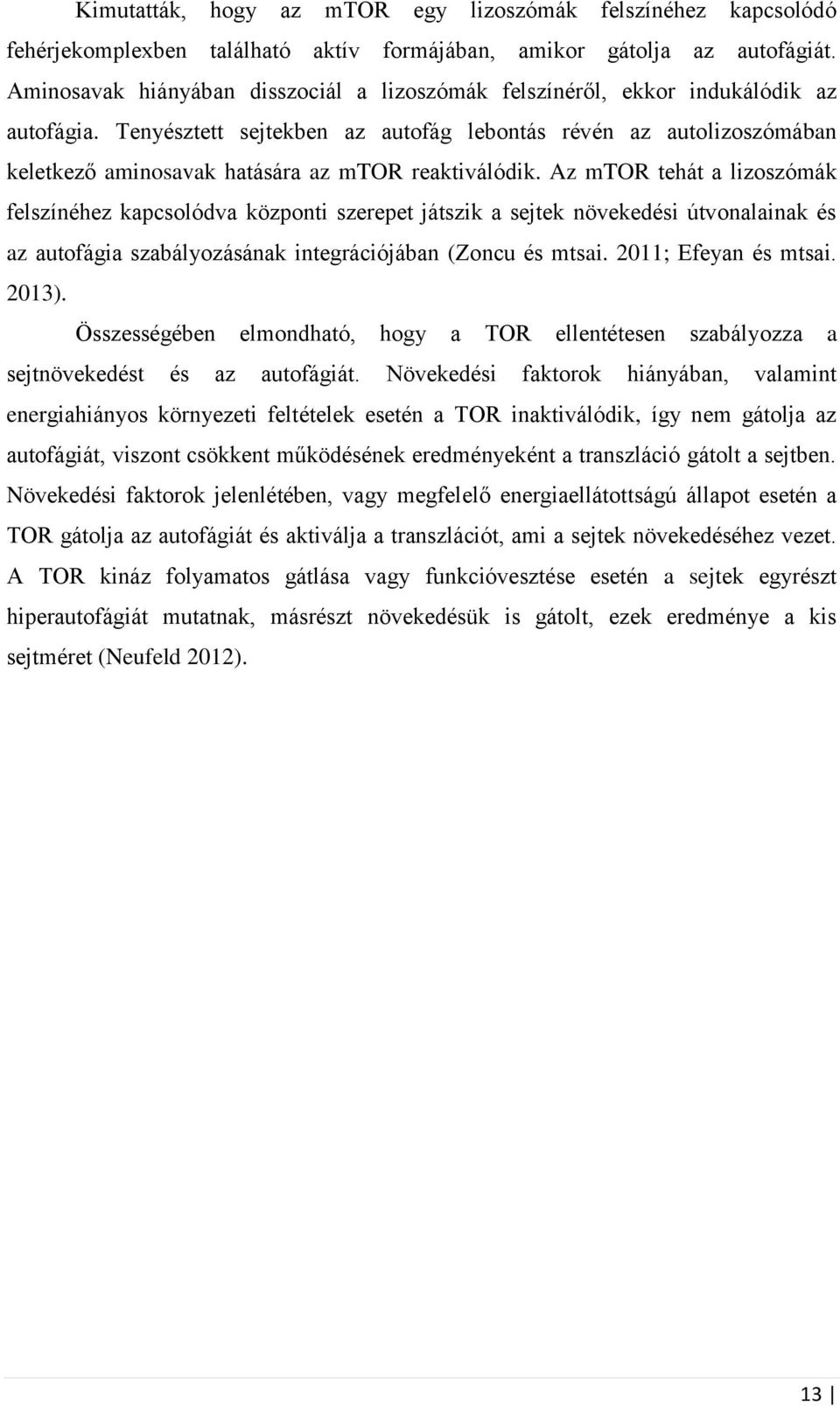 Tenyésztett sejtekben az autofág lebontás révén az autolizoszómában keletkező aminosavak hatására az mtor reaktiválódik.