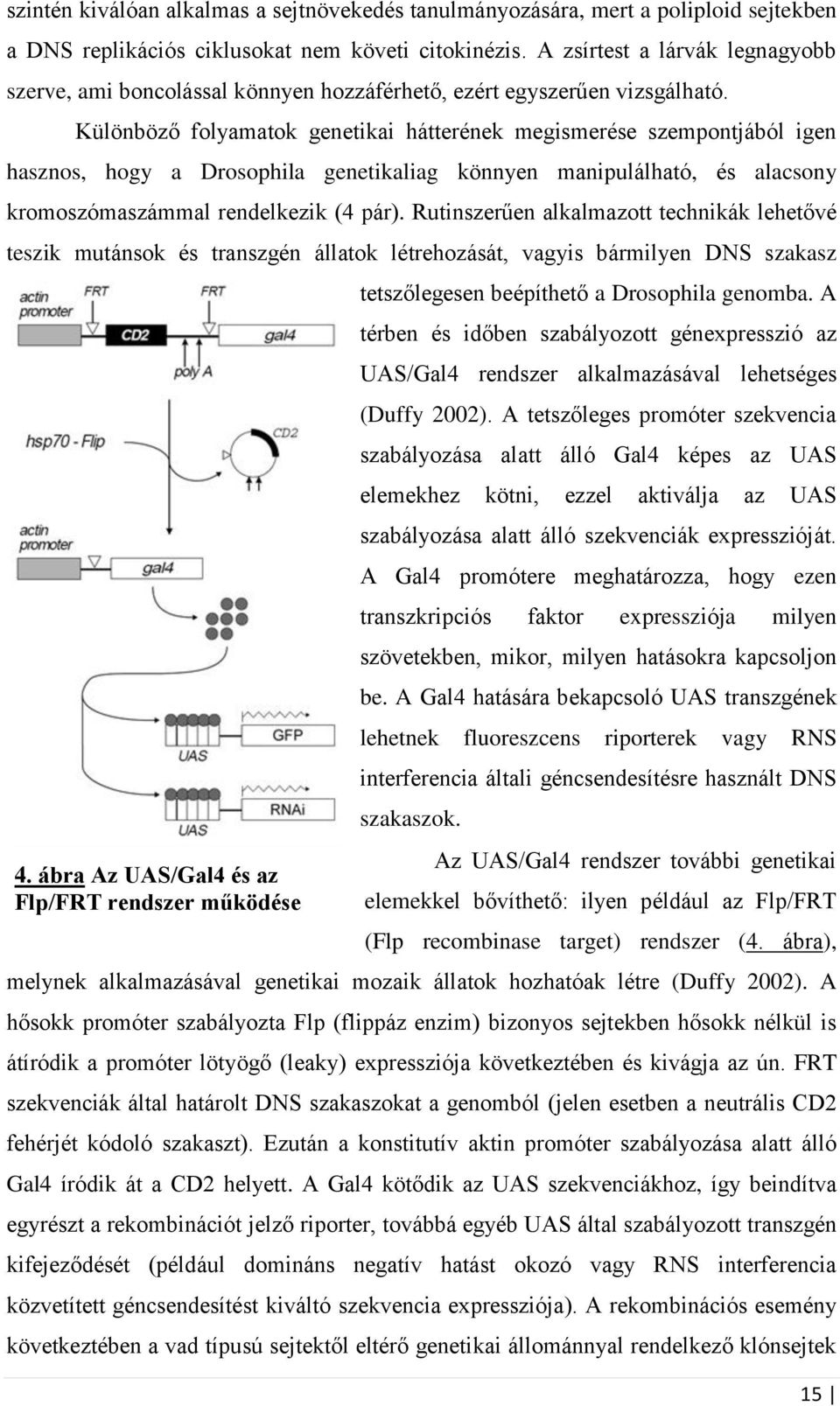 Különböző folyamatok genetikai hátterének megismerése szempontjából igen hasznos, hogy a Drosophila genetikaliag könnyen manipulálható, és alacsony kromoszómaszámmal rendelkezik (4 pár).