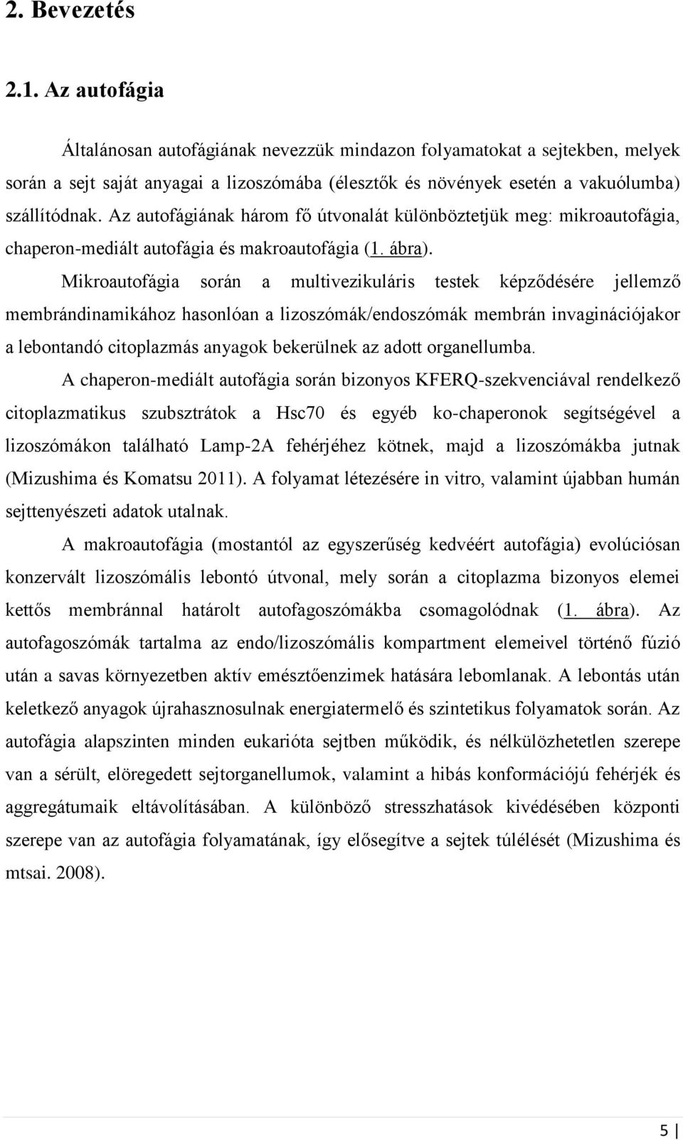 Az autofágiának három fő útvonalát különböztetjük meg: mikroautofágia, chaperon-mediált autofágia és makroautofágia (1. ábra).