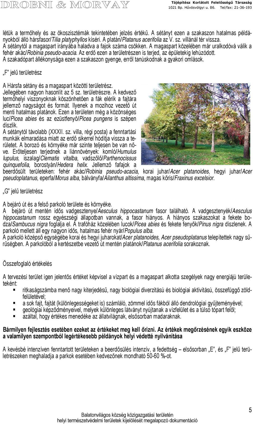 Az erdő ezen a területrészen is terjed, az épületekig lehúzódott. A szakadópart állékonysága ezen a szakaszon gyenge, erről tanúskodnak a gyakori omlások.