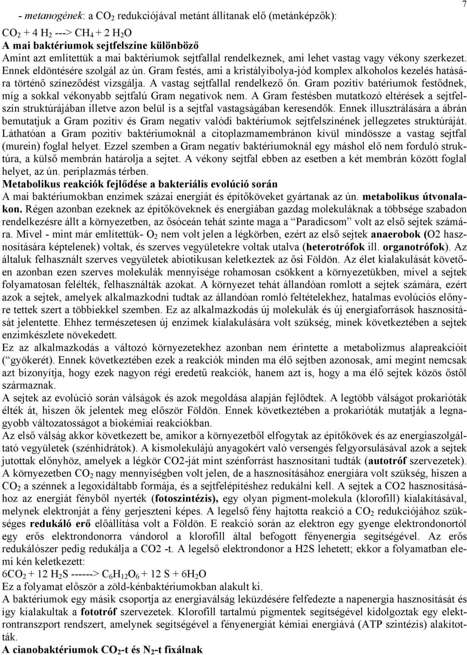 A vastag sejtfallal rendelkező őn. Gram pozitív batériumok festődnek, míg a sokkal vékonyabb sejtfalú Gram negatívok nem.