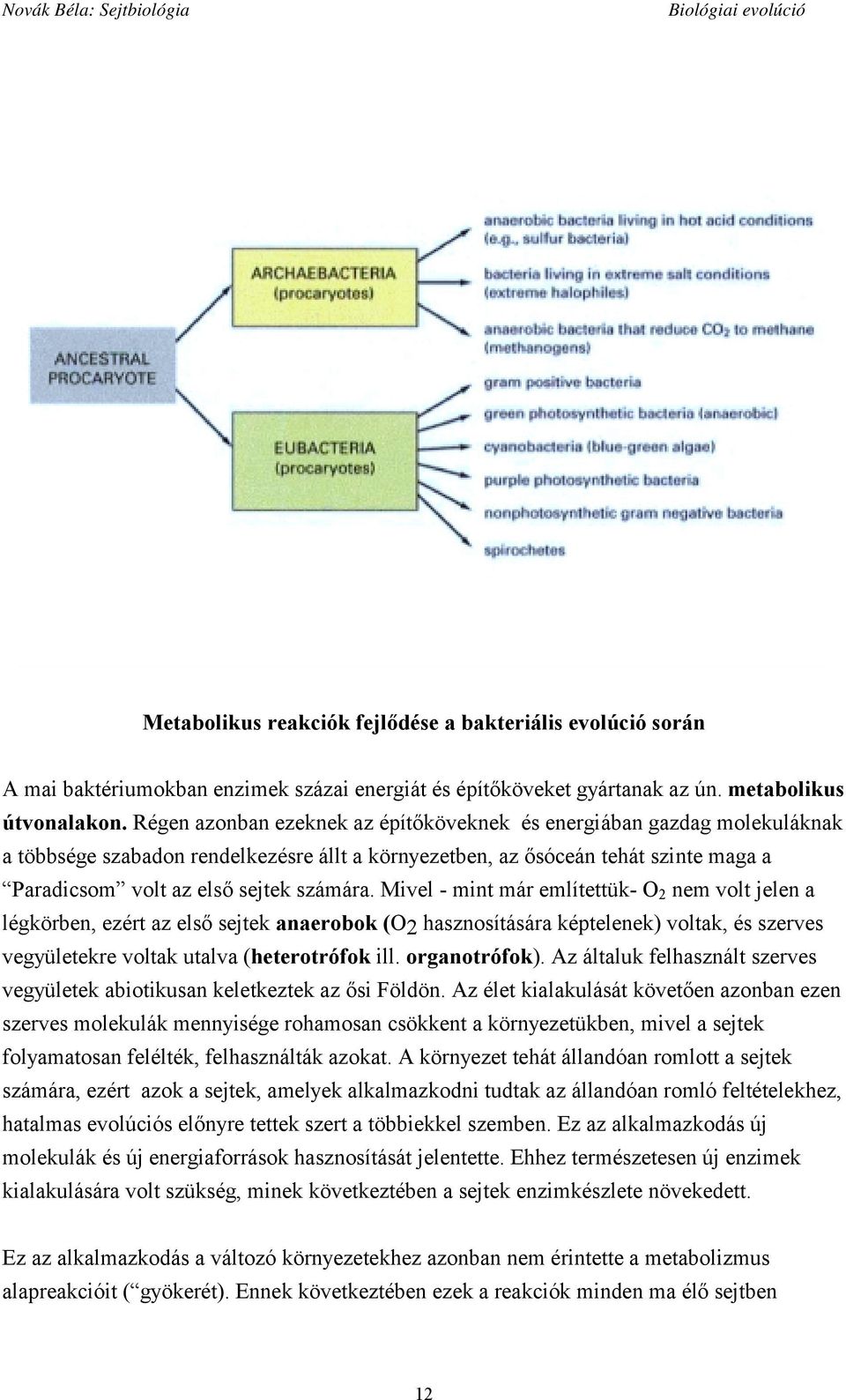 Mivel - mint már említettük- O 2 nem volt jelen a légkörben, ezért az első sejtek anaerobok (O2 hasznosítására képtelenek) voltak, és szerves vegyületekre voltak utalva (heterotrófok ill.