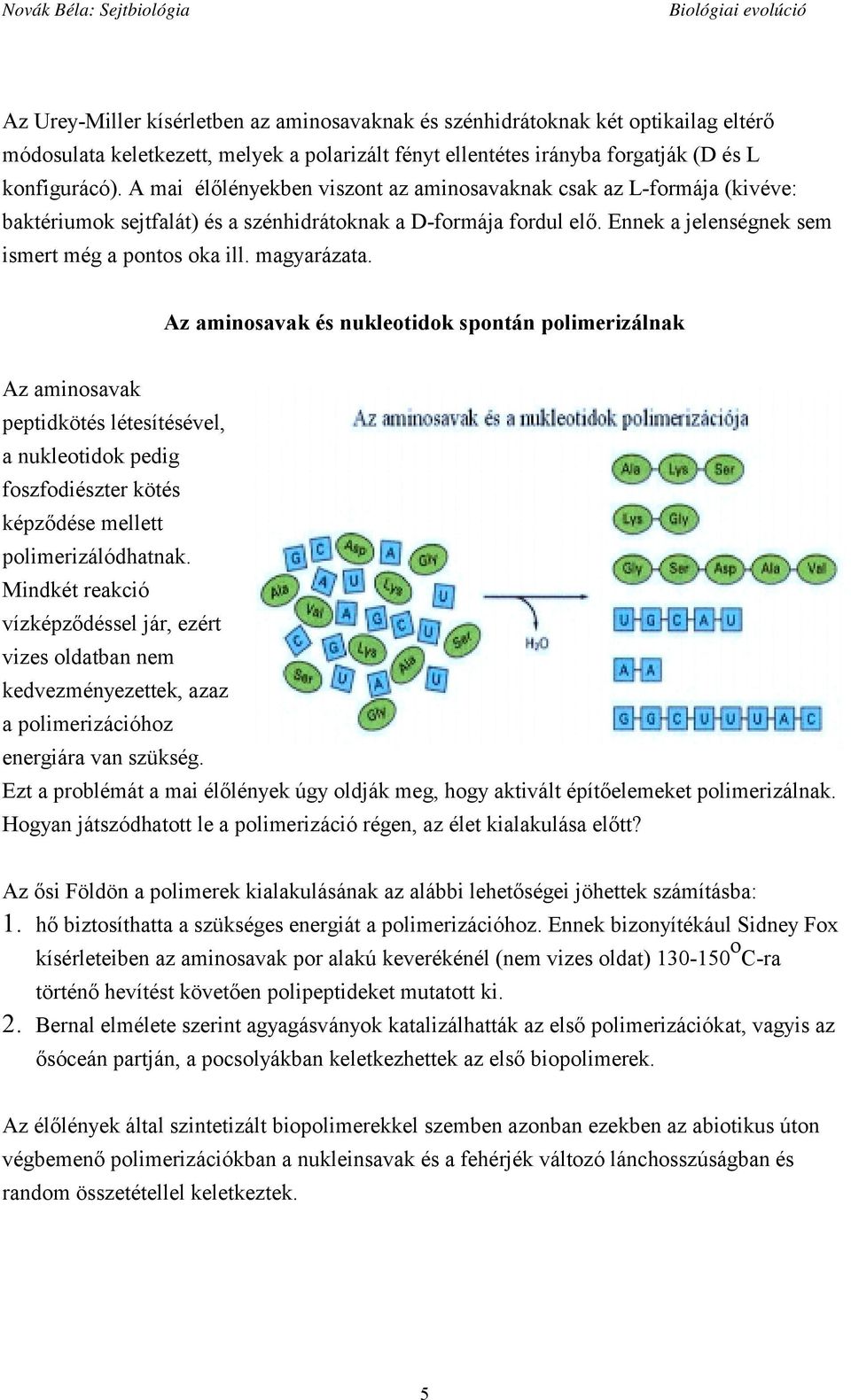 magyarázata. Az aminosavak és nukleotidok spontán polimerizálnak Az aminosavak peptidkötés létesítésével, a nukleotidok pedig foszfodiészter kötés képződése mellett polimerizálódhatnak.