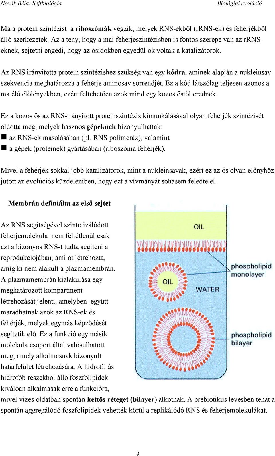 Az RNS irányította protein szintézishez szükség van egy kódra, aminek alapján a nukleinsav szekvencia meghatározza a fehérje aminosav sorrendjét.