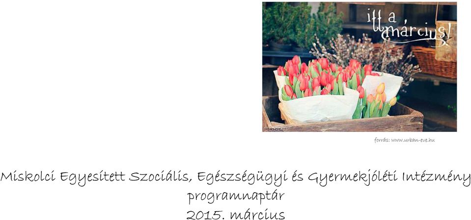 Szociális, Egészségügyi és