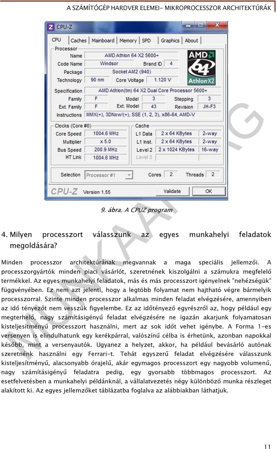 Ez nem azt jelenti, hogy a legtöbb folyamat nem hajtható végre bármelyik processzorral. Szinte minden processzor alkalmas minden feladat elvégzésére, amennyiben az idő tényezőt nem vesszük figyelembe.