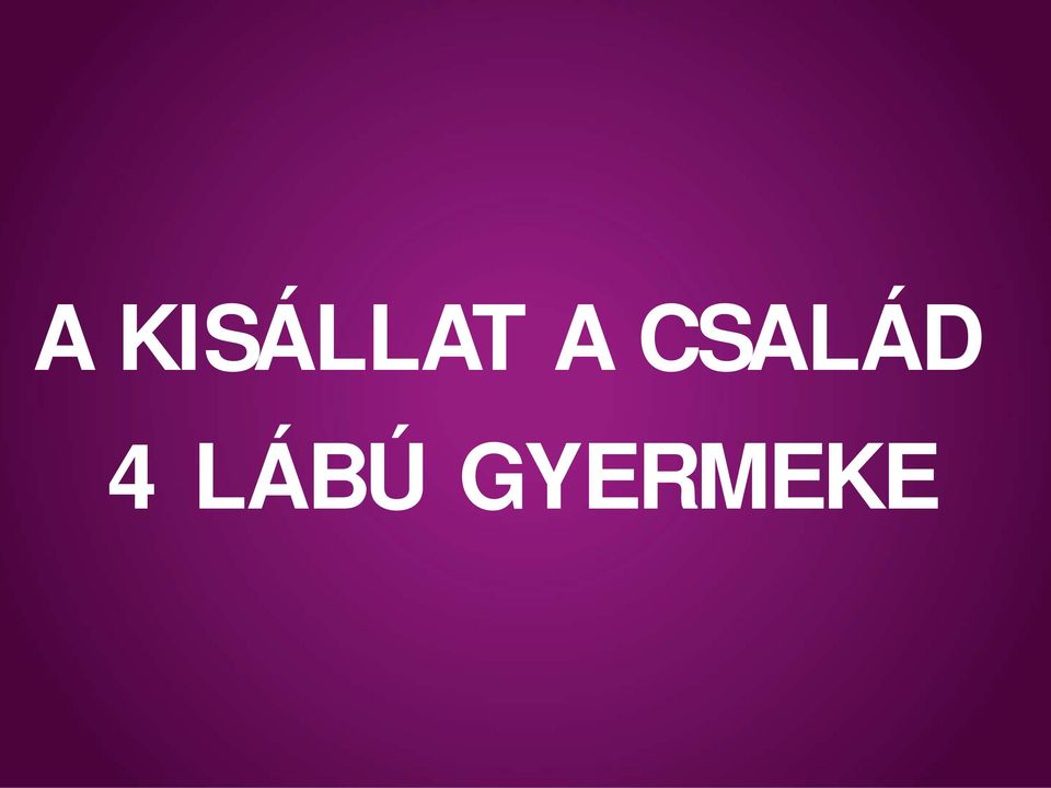 CSLÁD 4